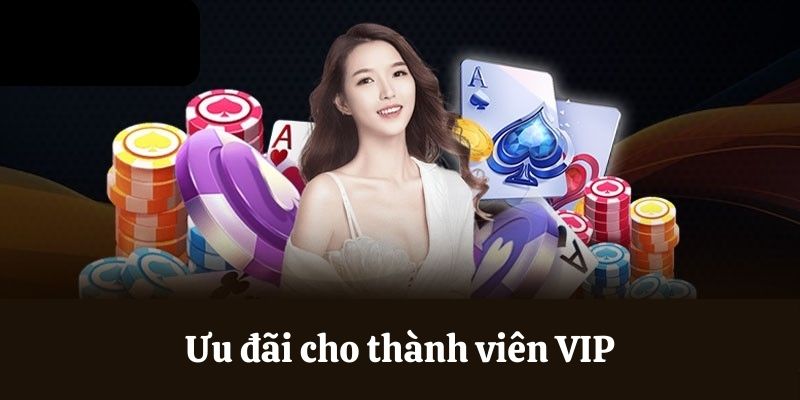 Ưu đãi cho thành viên VIP